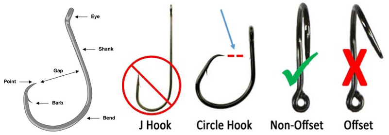 Anatomy of Fish Hooks hooks2.jpg